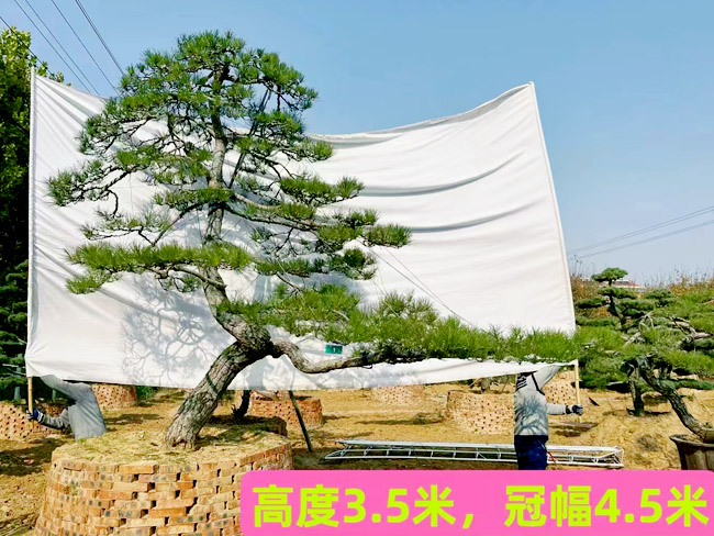 戳我试试