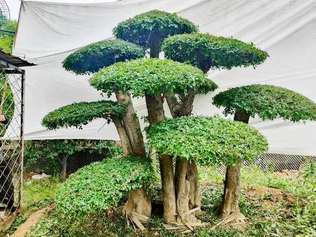戳我试试